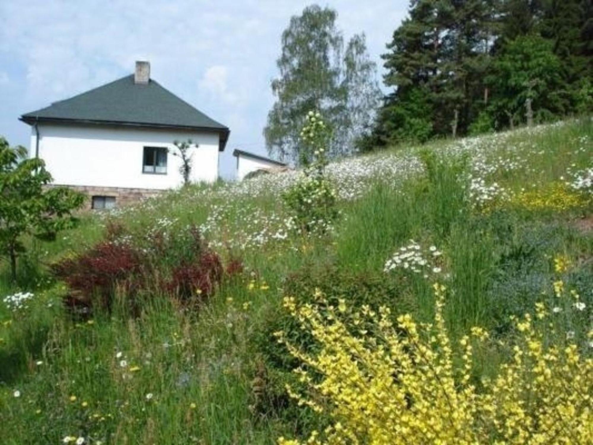 Villa Ein Ferienhaus Mit Terrasse Und Garten Male Svatonovice Exterior foto